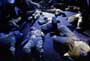 The Stuff - 8 x 10 Color Photo #8