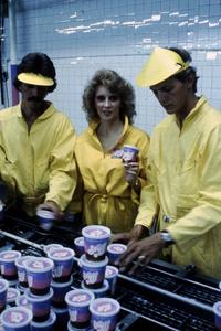 The Stuff - 8 x 10 Color Photo #1