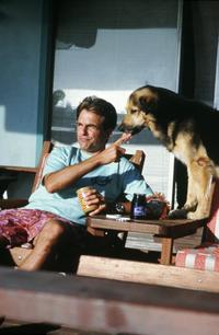 Summer School - 8 x 10 Color Photo #3