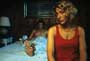 Sunshine State - 8 x 10 Color Photo #4