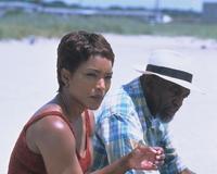 Sunshine State - 8 x 10 Color Photo #6