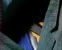 Superman Returns - 8 x 10 Color Photo #80