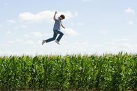 Superman Returns - 8 x 10 Color Photo #4