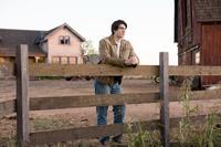 Superman Returns - 8 x 10 Color Photo #5