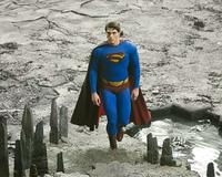 Superman Returns - 8 x 10 Color Photo #33