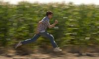 Superman Returns - 8 x 10 Color Photo #39