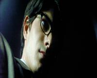 Superman Returns - 8 x 10 Color Photo #78