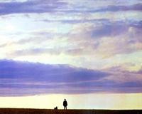 Superman: The Movie - 8 x 10 Color Photo #14