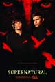 Supernatural (TV) - 11 x 17 TV Poster - Style D