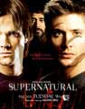 Supernatural (TV) - 11 x 17 TV Poster - Style G