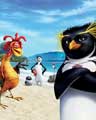 Surf's Up - 8 x 10 Color Photo #1