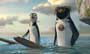 Surf's Up - 8 x 10 Color Photo #9