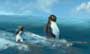 Surf's Up - 8 x 10 Color Photo #10