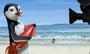 Surf's Up - 8 x 10 Color Photo #18