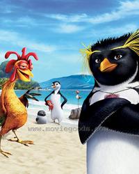 Surf's Up - 8 x 10 Color Photo #1