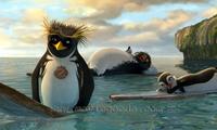Surf's Up - 8 x 10 Color Photo #7