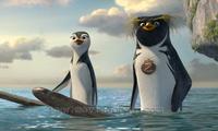 Surf's Up - 8 x 10 Color Photo #9