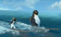 Surf's Up - 8 x 10 Color Photo #10