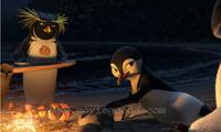 Surf's Up - 8 x 10 Color Photo #11