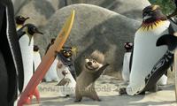 Surf's Up - 8 x 10 Color Photo #13