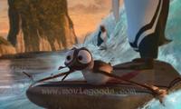 Surf's Up - 8 x 10 Color Photo #22