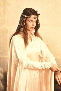 Sword of the Valiant - 8 x 10 Color Photo #6