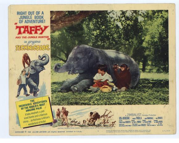 taffy-and-the-jungle-hunter-movie-poster-1965-1020226550.jpg