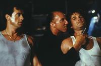 Tango and Cash - 8 x 10 Color Photo #4