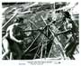 Tarzan and the Great River - 8 x 10 B&W Photo #4
