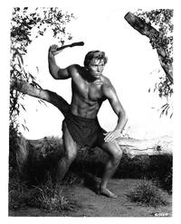 Tarzan The Ape Man - 8 x 10 B&W Photo #1