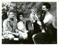 Tarzan The Ape Man - 8 x 10 B&W Photo #4