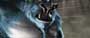 Teenage Mutant Ninja Turtles - 8 x 10 Color Photo #48