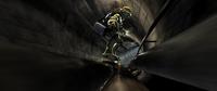 Teenage Mutant Ninja Turtles - 8 x 10 Color Photo #38