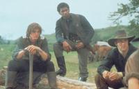 Texas Rangers - 8 x 10 Color Photo #3