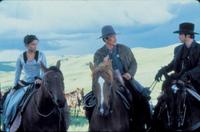 Texas Rangers - 8 x 10 Color Photo #6