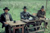 Texas Rangers - 8 x 10 Color Photo #7