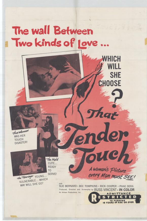 That Tender Touch movie