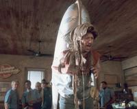 The Adventures of Joe Dirt - 8 x 10 Color Photo #3
