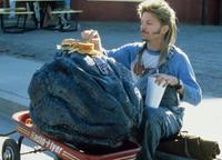 The Adventures of Joe Dirt - 8 x 10 Color Photo #5
