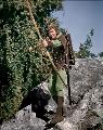 The Adventures of Robin Hood - 8 x 10 Color Photo #3