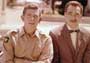 The Andy Griffith Show - 8 x 10 Color Photo #7
