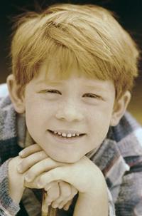 The Andy Griffith Show - 8 x 10 Color Photo #13