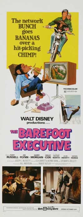 Barefoot Executive