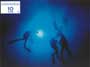 The Big Blue - 8 x 10 Color Photo #1