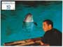 The Big Blue - 8 x 10 Color Photo #9