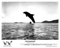 The Big Blue - 8 x 10 B&W Photo #8