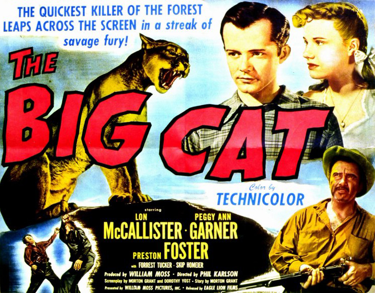 the-big-cat-movie-poster-1949-1020251321