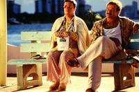 The Birdcage - 8 x 10 Color Photo #6