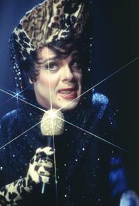 The Birdcage - 8 x 10 Color Photo #15