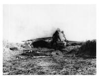 The Blue Max - 8 x 10 B&W Photo #5